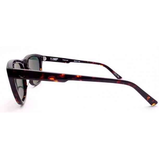 Spy Hayes polarized sunglasses (dark tort/happy gray green)