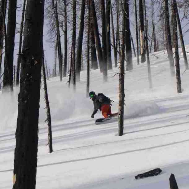 Spark Arc splitboard bindings (forest)