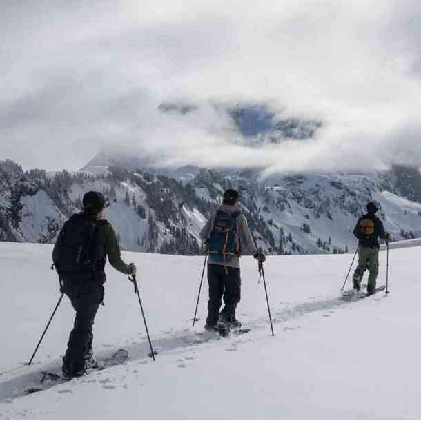 Spark Arc splitboard bindings (forest)